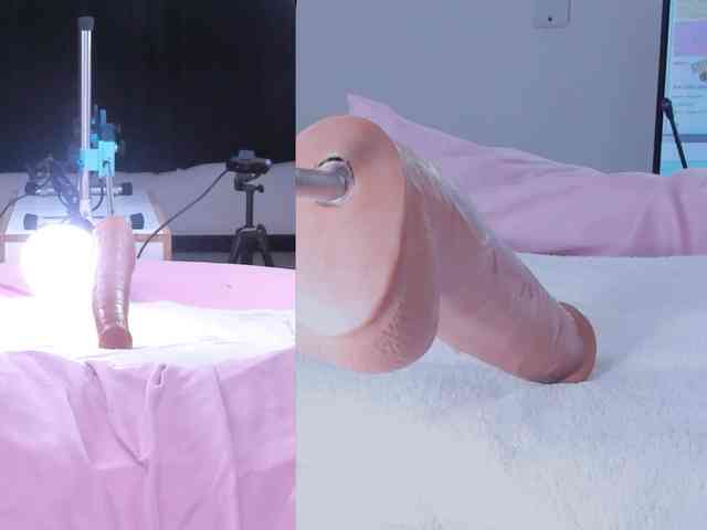 Amellia-rous