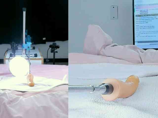 Amellia-rous