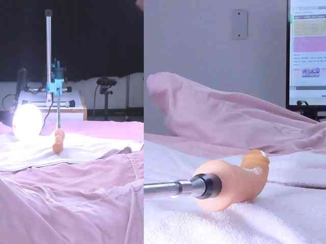 Amellia-rous