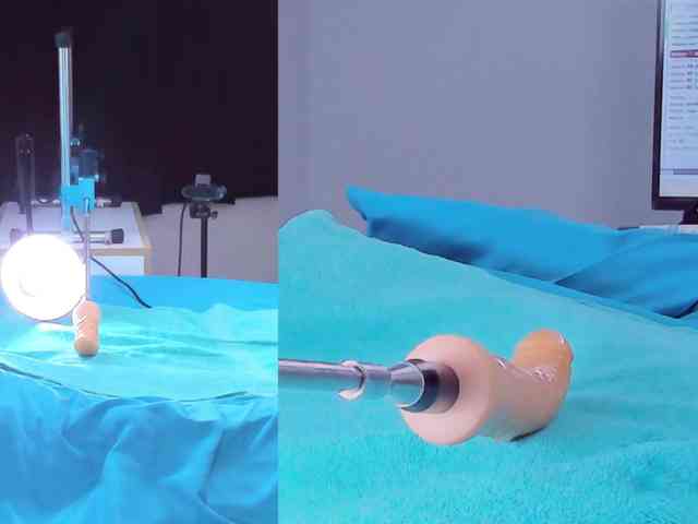 Amellia-rous webcam