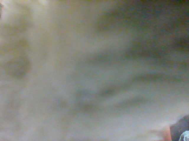 Rarra, live now on BongaCams