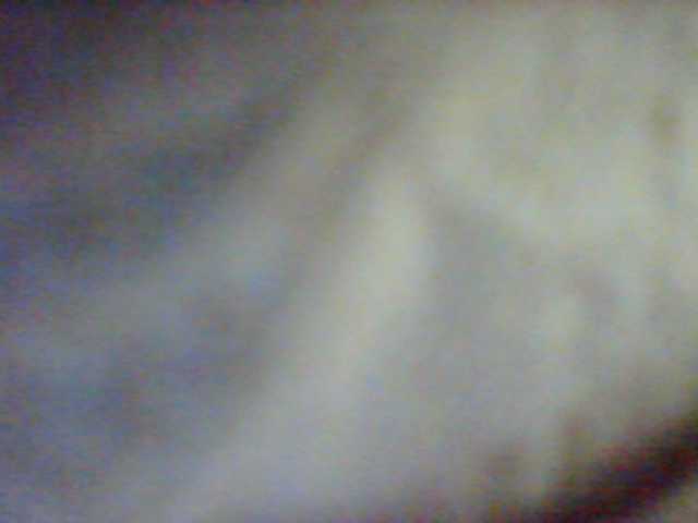 Rarra live cam preview