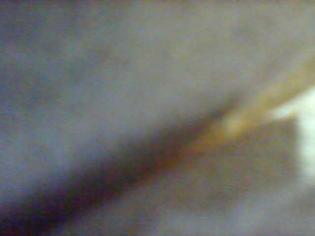 Rarra live cam on BongaCams