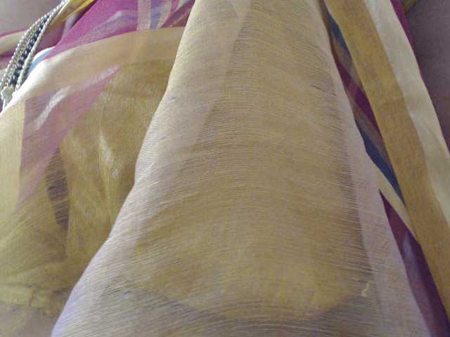 hotpavitra