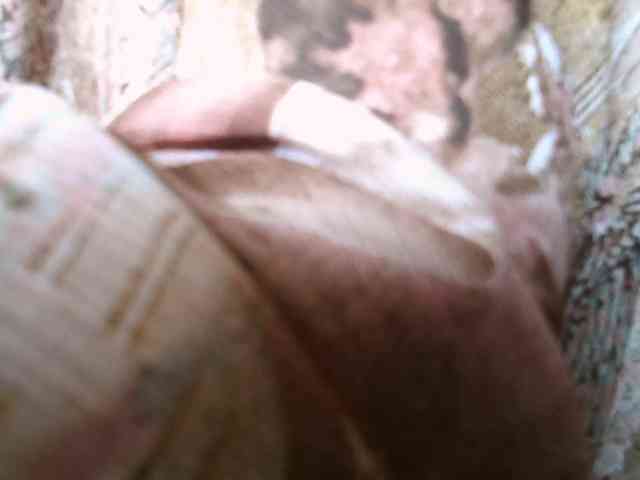 hotpavitra webcam
