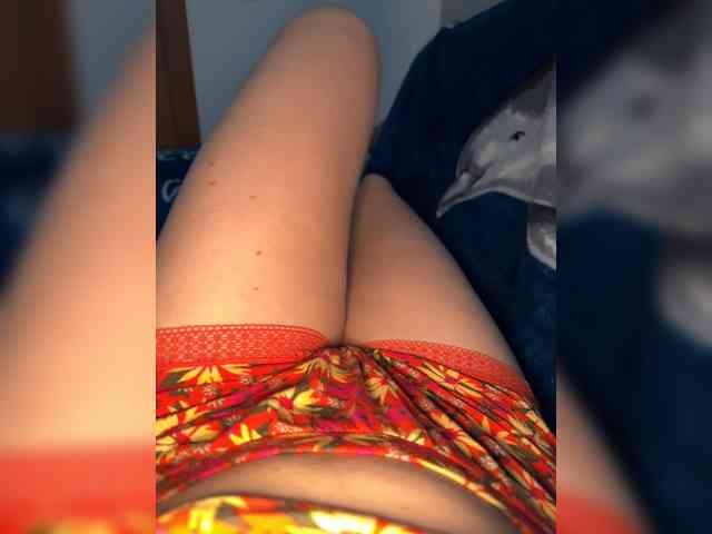 Dilettalovex webcam