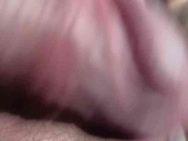 Dimetriusen