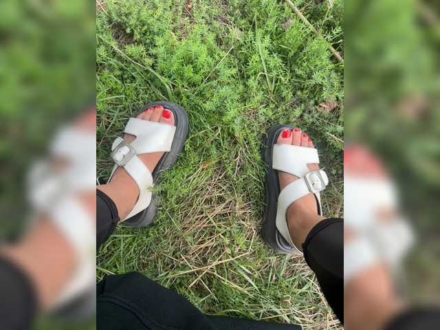 Uliae