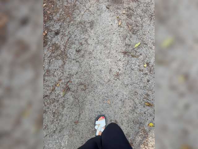 Uliae