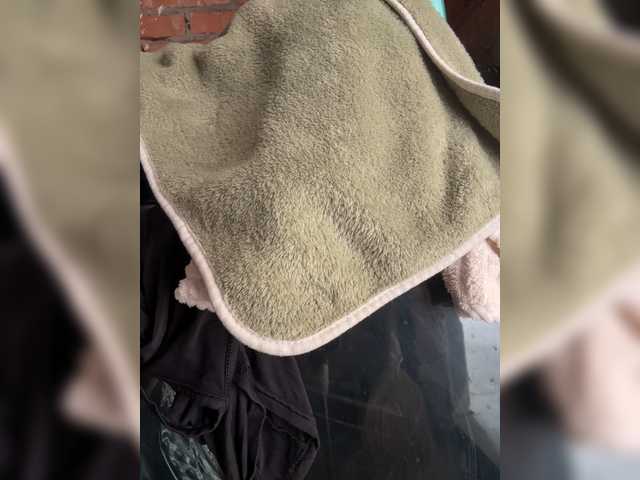 Uliae_Kiska live cam preview