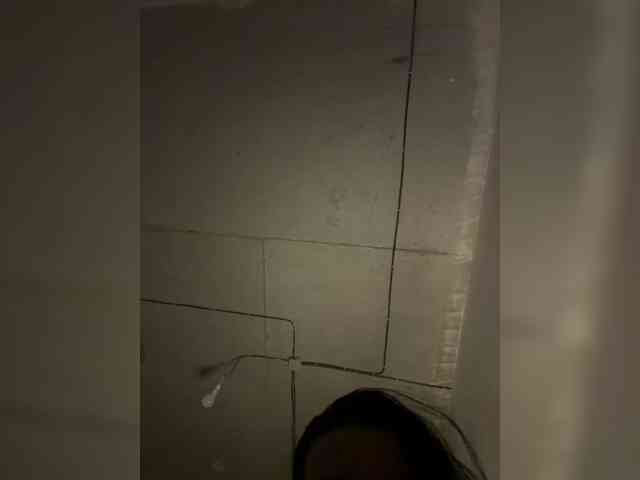 Uliae