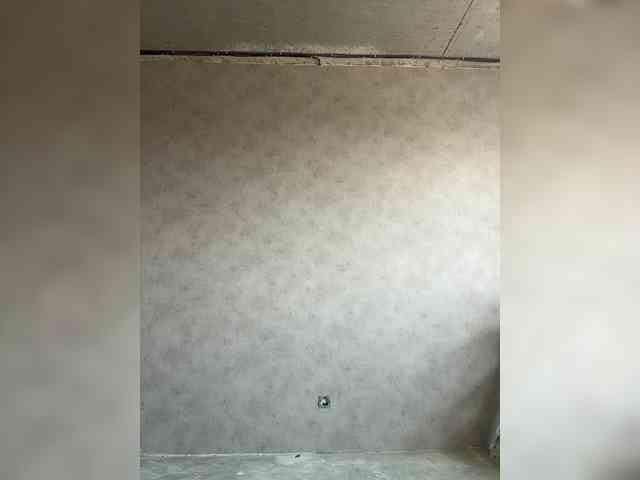 Uliae_Kiska webcam
