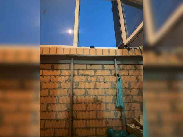 Uliae_Kiska webcam