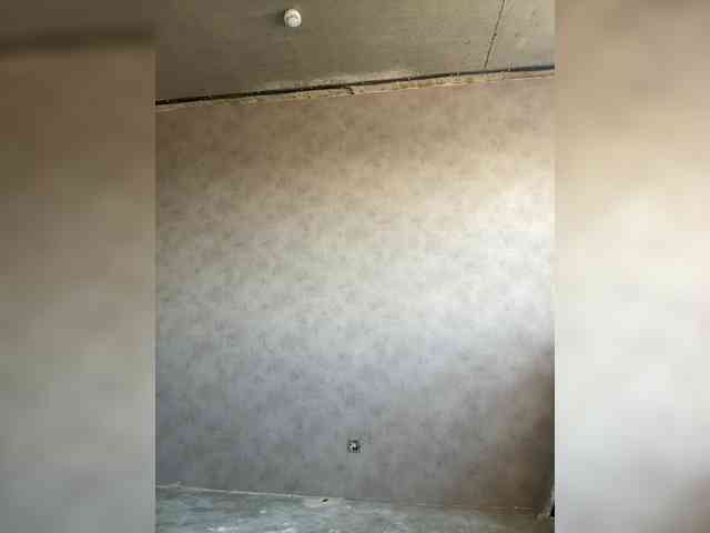 Uliae_Kiska webcam