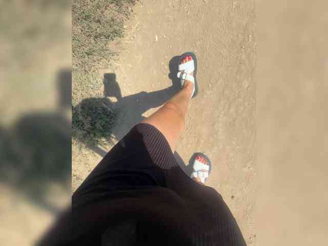 Uliae Uliae