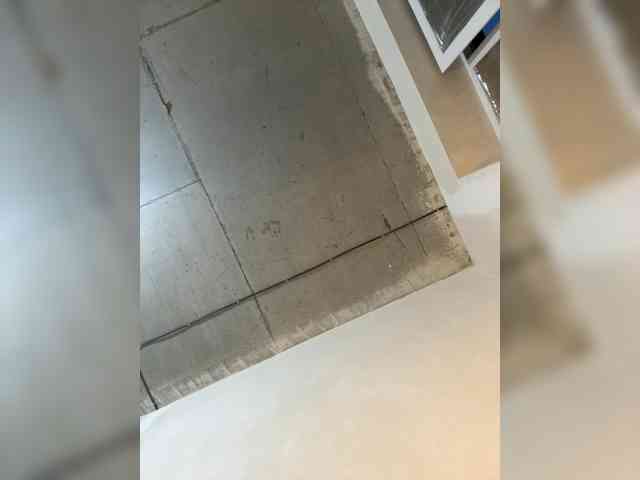 Uliae