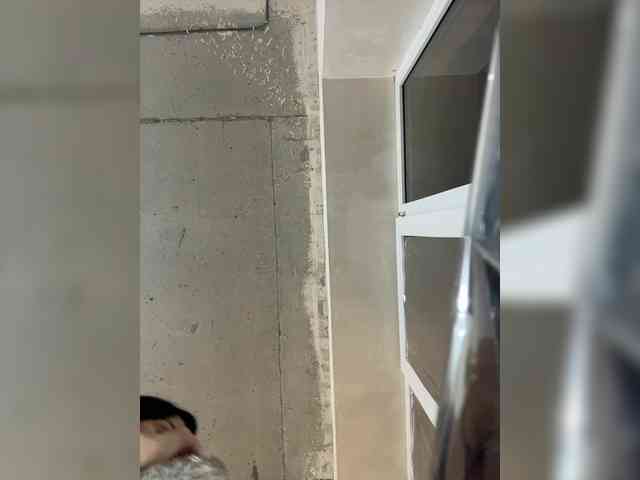 Uliae_Kiska webcam