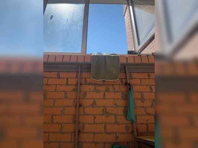 Uliae_Kiska webcam