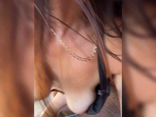 Uliae_Kiska webcam