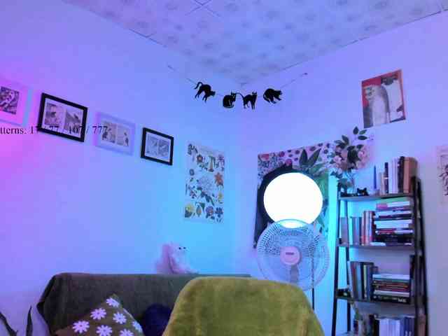 Luci--ana webcam