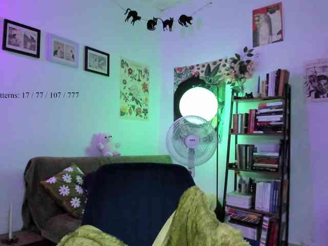 Luci--ana webcam