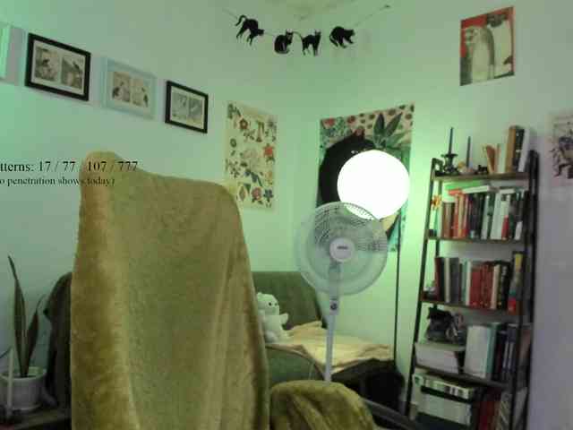 Luci--ana webcam