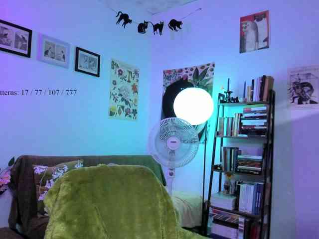 Luci--ana webcam