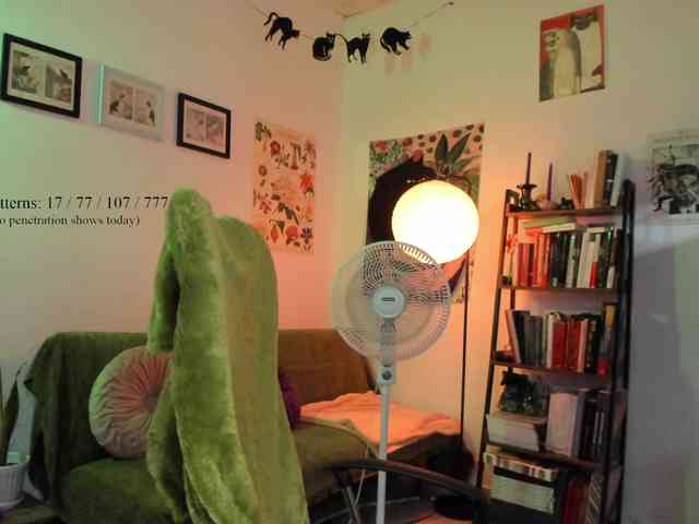 Luci--ana webcam
