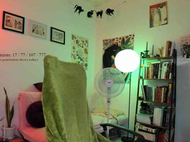 Luci--ana webcam