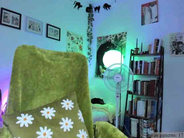 Luci--ana webcam
