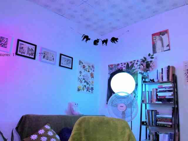 Luci--ana webcam