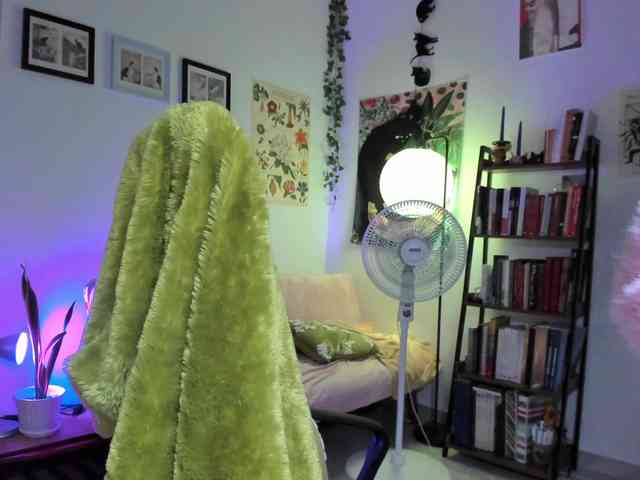 Luci--ana webcam