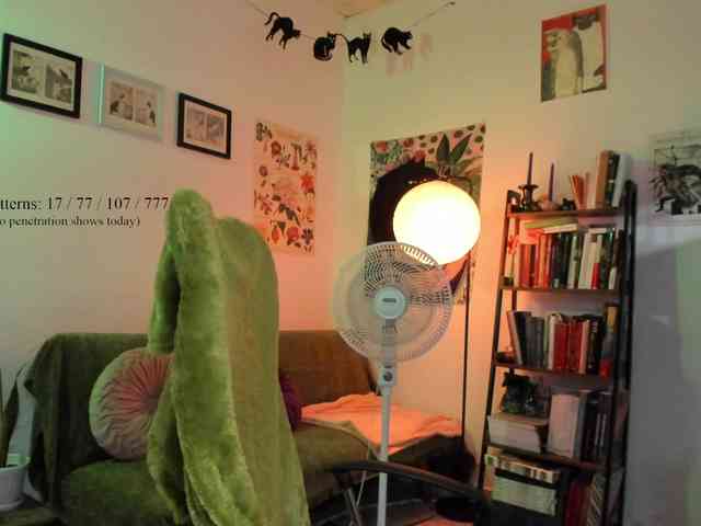 Luci--ana webcam