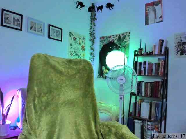 Luci--ana webcam