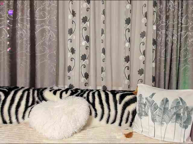 Adela27 webcam