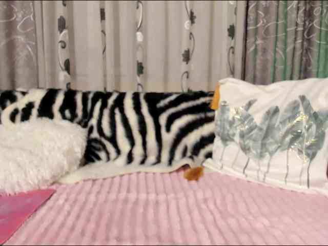 Adela27 webcam