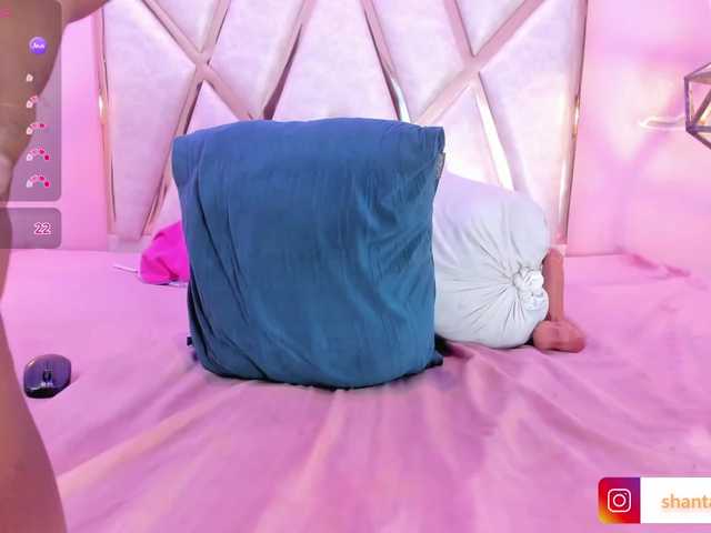 Preview of shantaladdams