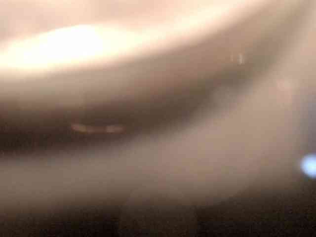 thecurvygirl webcam
