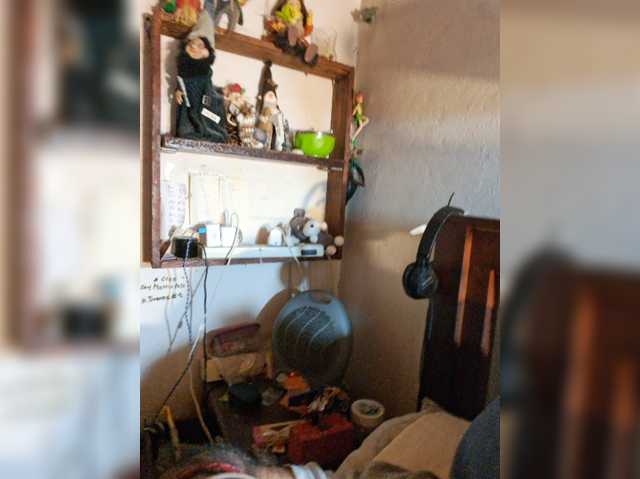 Leoncarpita live cam on BongaCams