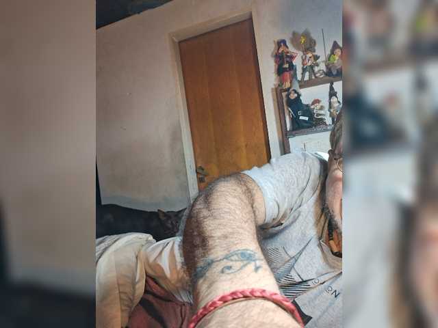 Leoncarpita