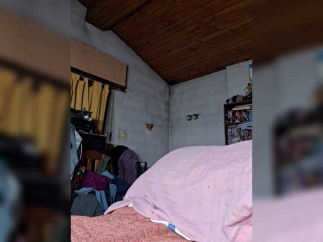 Leoncarpita live cam