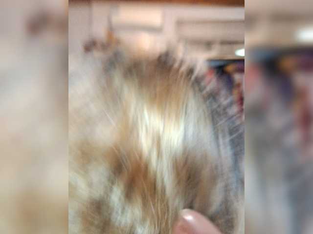 Leoncarpita