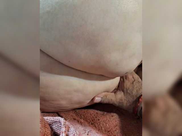 Leoncarpita