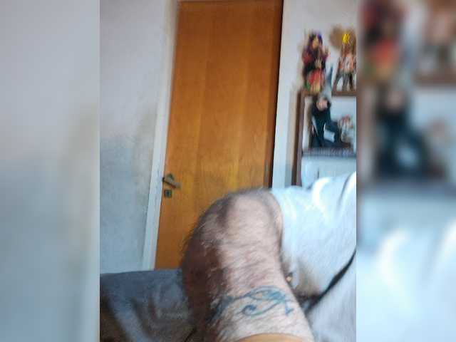 Leoncarpita