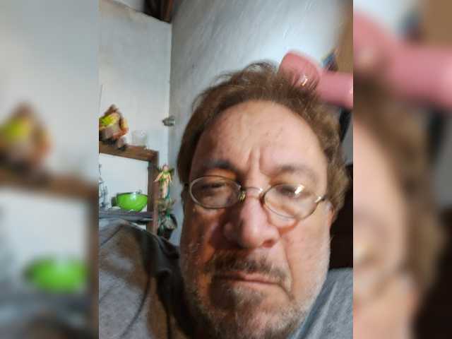 Leoncarpita