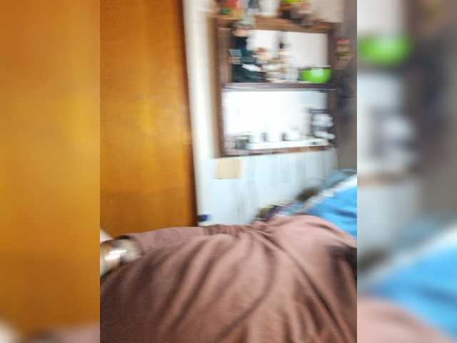Leoncarpita live cam
