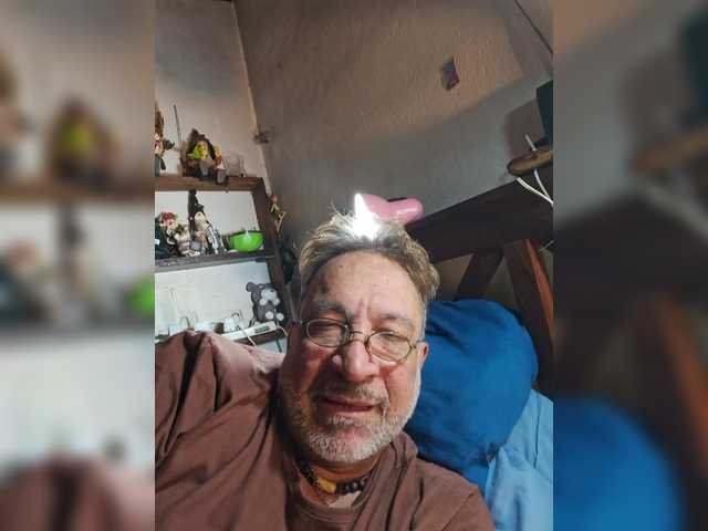 Leoncarpita live cam