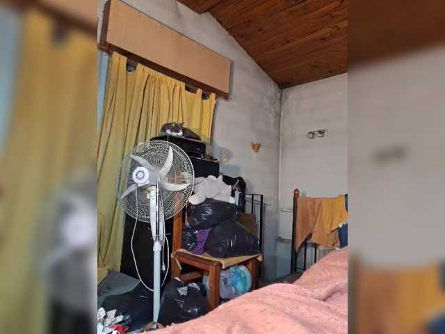 Leoncarpita live cam on BongaCams