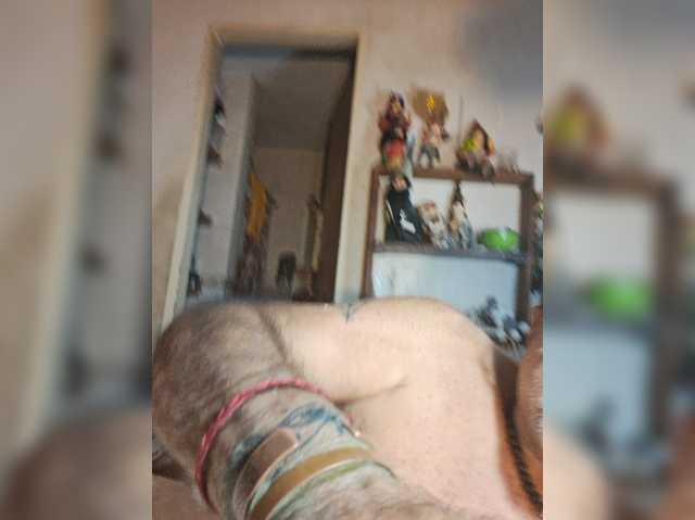 Leoncarpita