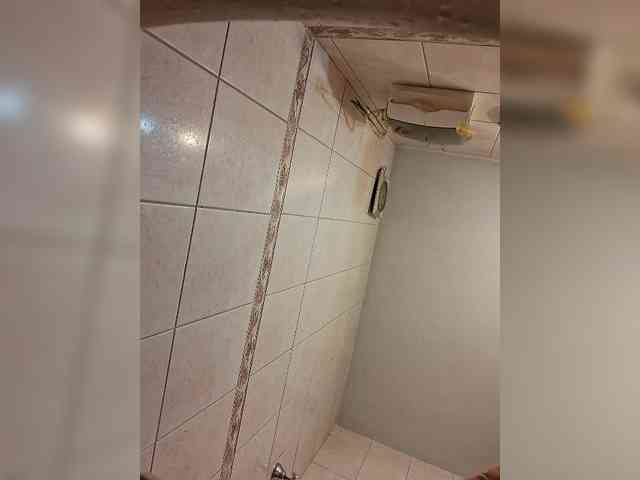 Leoncarpita webcam